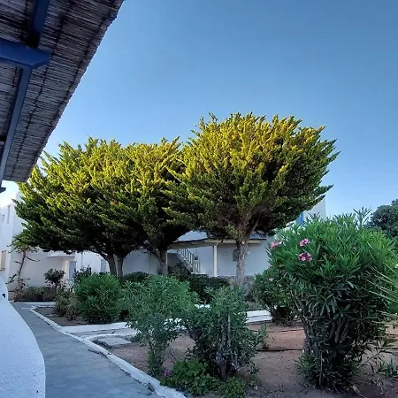 Traditional Dream Myconian * オルノス