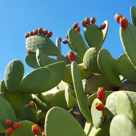 Apartment Traditional Dream Myconian Ornos (Mykonos)