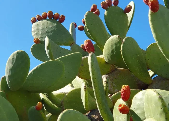 Apartment Traditional Dream Myconian Ornos (Mykonos)