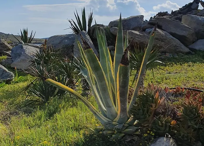 Apartment Traditional Dream Myconian *